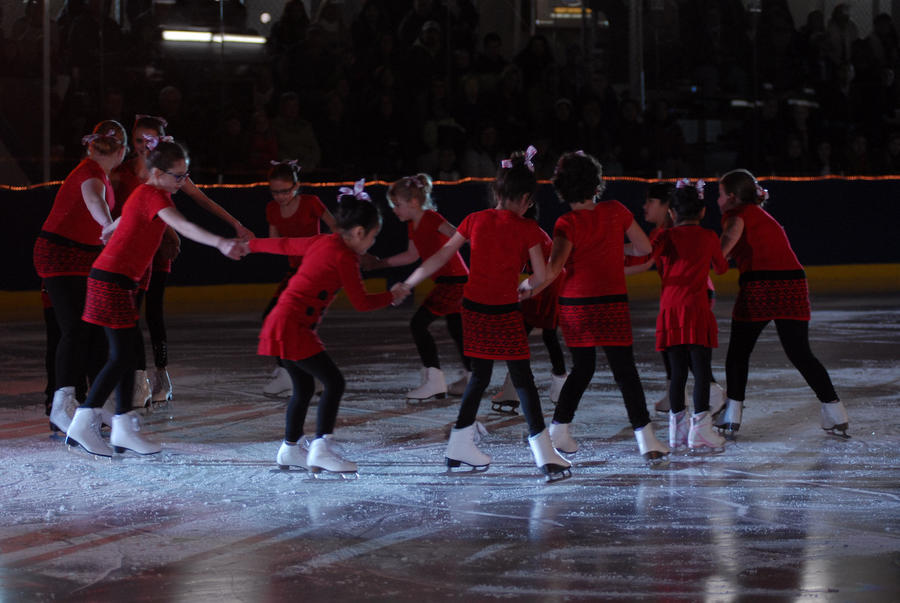 2014-asc-holiday-show_16438185015_o.jpg