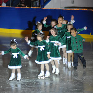 2014-asc-holiday-show_16437246402_o.jpg